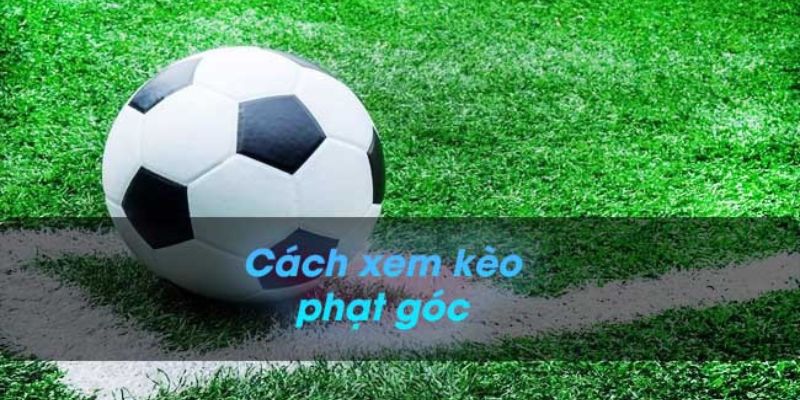 Tìm hiểu về kèo phạt góc để có cách nhận định kèo chuẩn xác