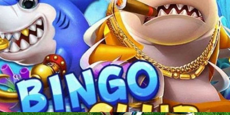 Bắn cá Bingo uy tín và chất lượng, cùng độ sắc nét chân thực nhất